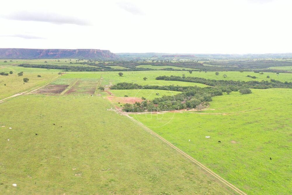 Fazenda à venda, 78000000M2 - Foto 4