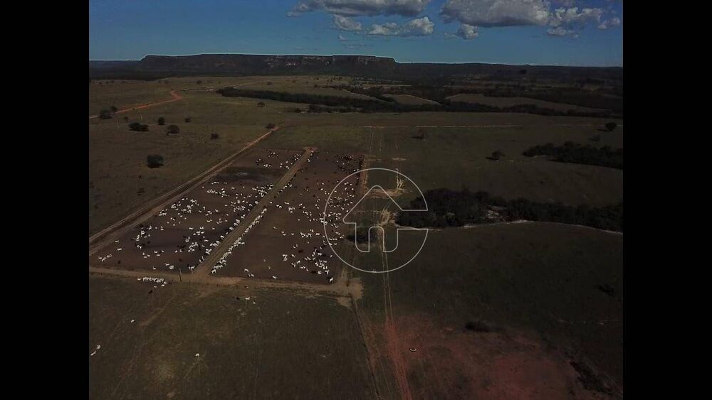 Fazenda à venda, 78000000M2 - Foto 1