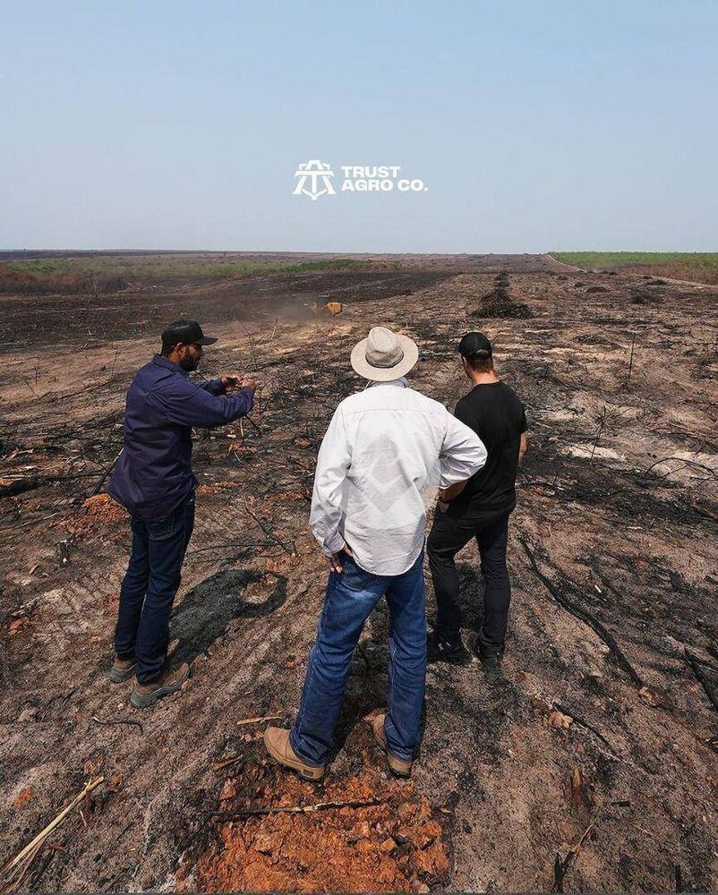 Fazenda-Sítio-Chácara, 7000 hectares - Foto 4