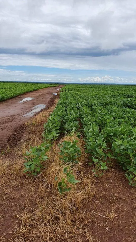 Fazenda à venda, 180000000M2 - Foto 1