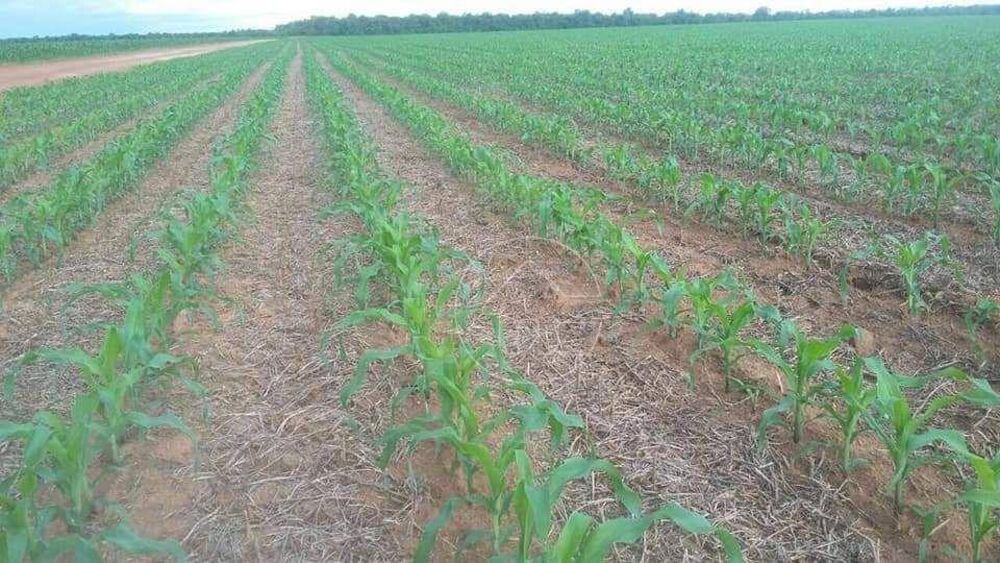 Fazenda à venda, 392410000M2 - Foto 5