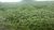 Fazenda, 39241 hectares - Foto 8