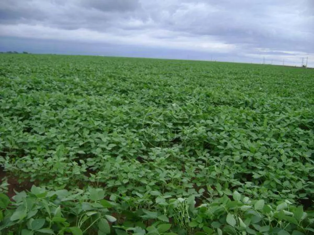 Fazenda à venda, 330000000M2 - Foto 2