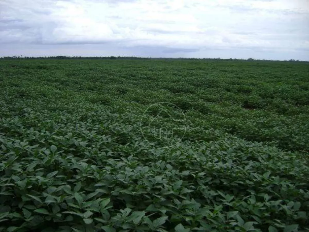 Fazenda à venda, 330000000M2 - Foto 3