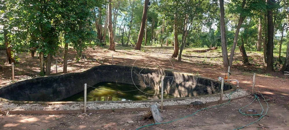 Chácara, 3 quartos, 4 m² - Foto 7