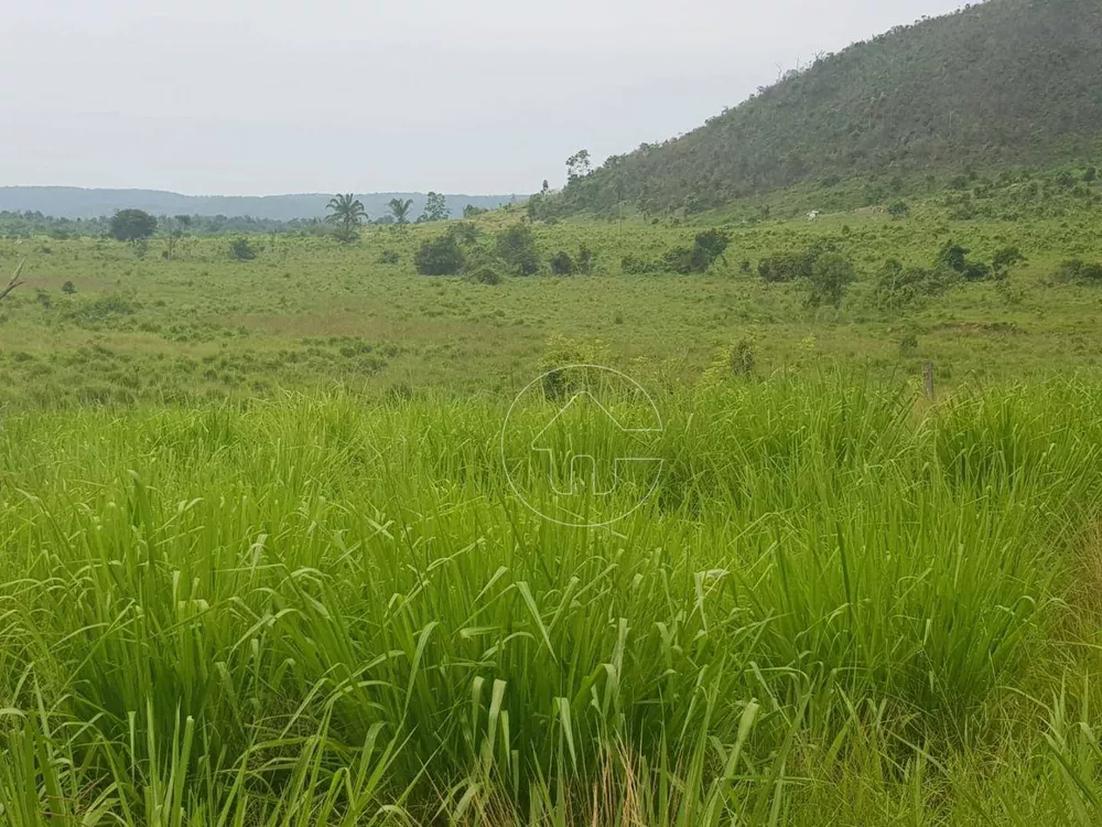 Fazenda à venda, 50430000M2 - Foto 1