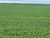 Fazenda, 17125 hectares - Foto 1