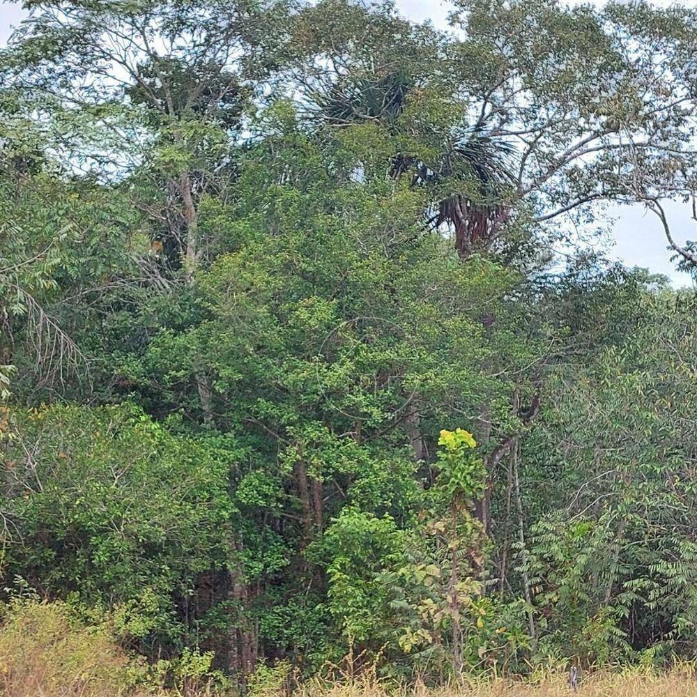 Fazenda à venda, 1740000M2 - Foto 3