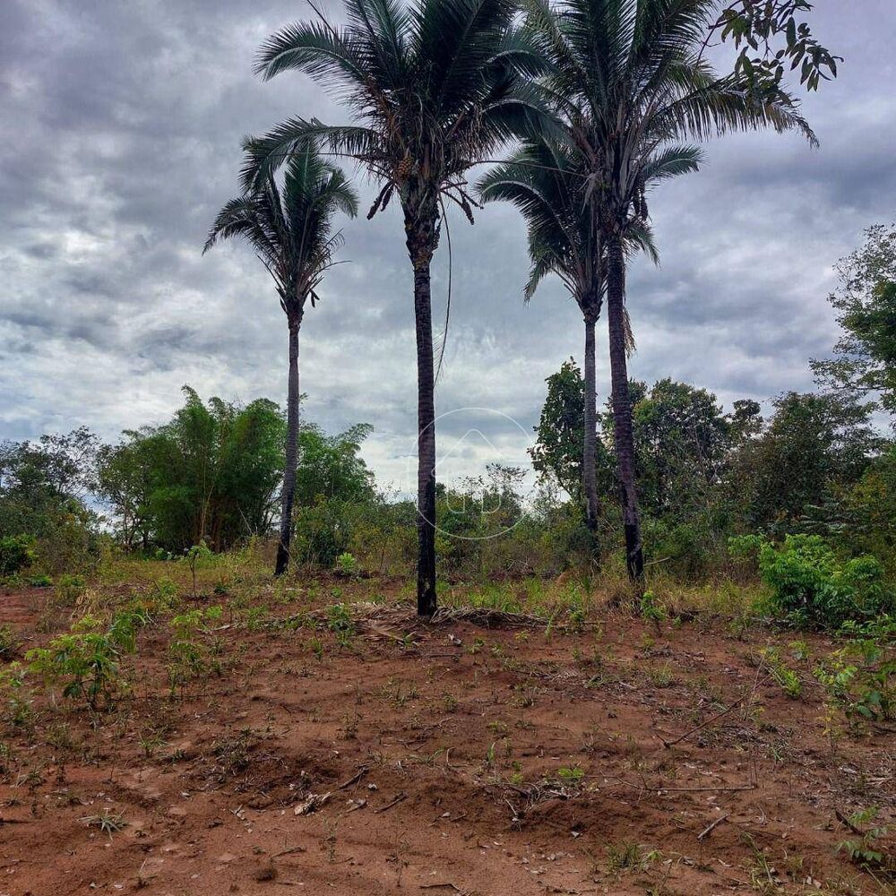 Fazenda à venda, 1740000M2 - Foto 2