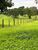 Fazenda, 1200 hectares - Foto 4
