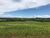 Fazenda, 500 hectares - Foto 1
