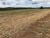 Fazenda, 500 hectares - Foto 3