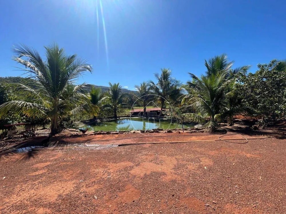 Chácara, 5 hectares - Foto 4