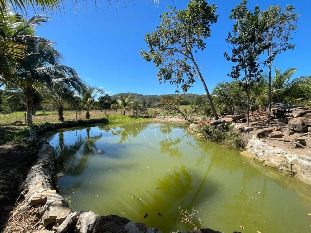 Chácara, 5 hectares - Foto 1