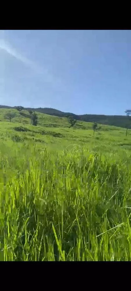 Fazenda à venda, 31460000M2 - Foto 1