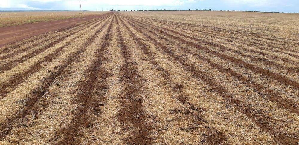 Fazenda à venda, 170000000M2 - Foto 1