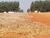 Fazenda, 17000 hectares - Foto 3