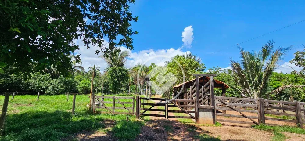 Sítio, 3 quartos, 8 hectares - Foto 1