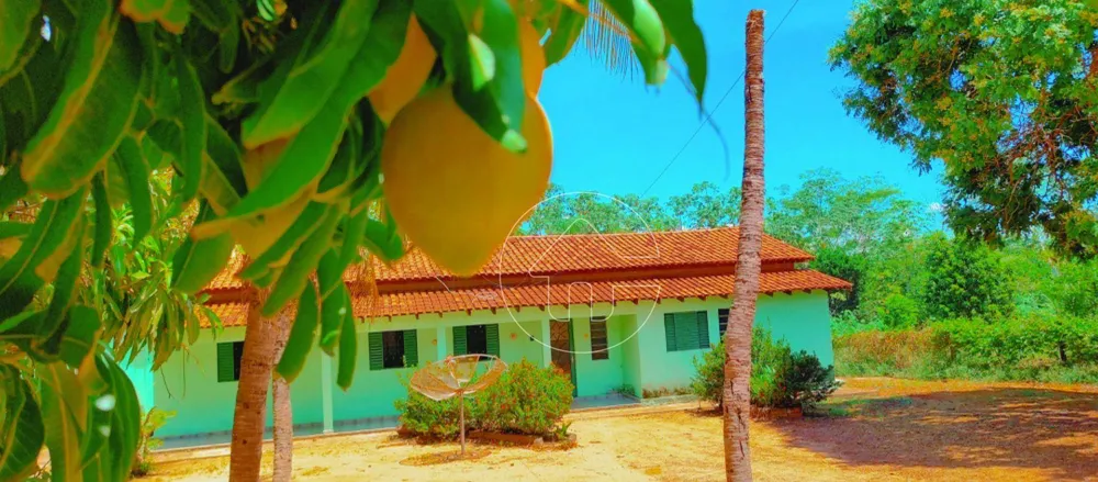 Chácara, 3 quartos - Foto 1