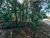 Terreno, 2 hectares - Foto 1