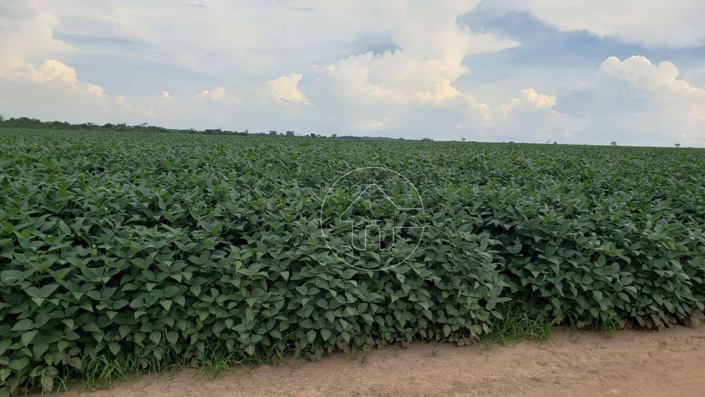 Fazenda à venda, 130000000M2 - Foto 2