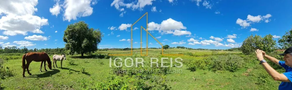 Terreno, 244 m² - Foto 7