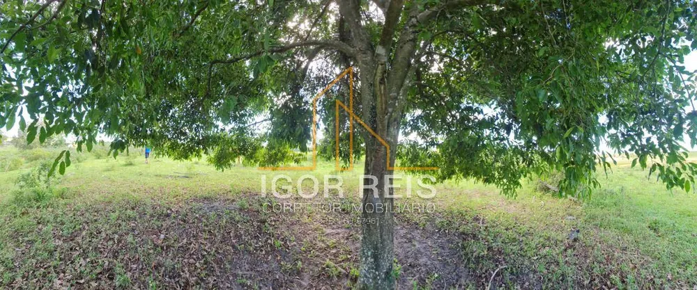 Terreno, 244 m² - Foto 36