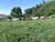 Terreno, 487 m² - Foto 2