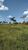 Terreno, 73 m² - Foto 3