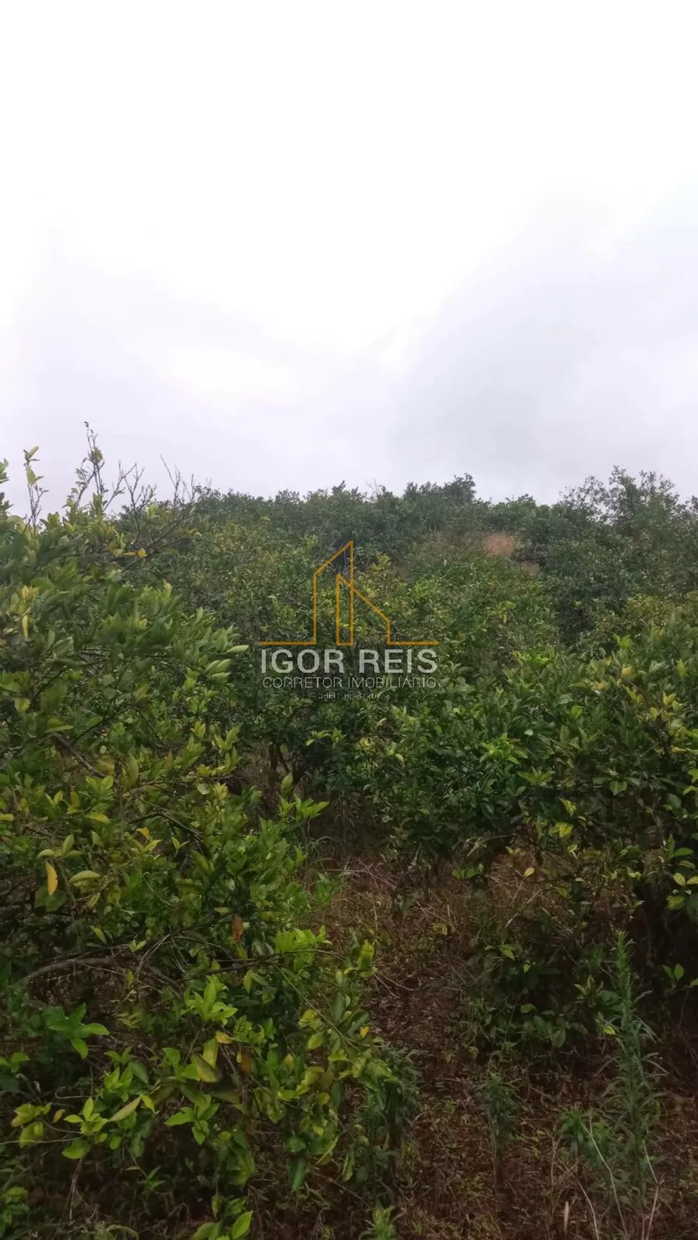 Terreno, 365 m² - Foto 16
