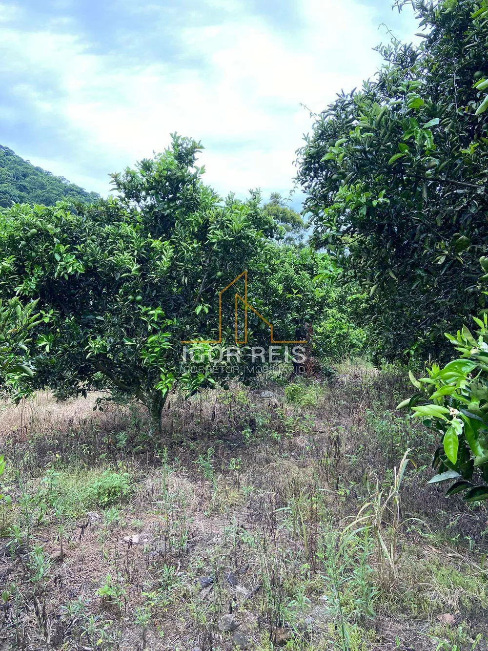 Terreno, 365 m² - Foto 31