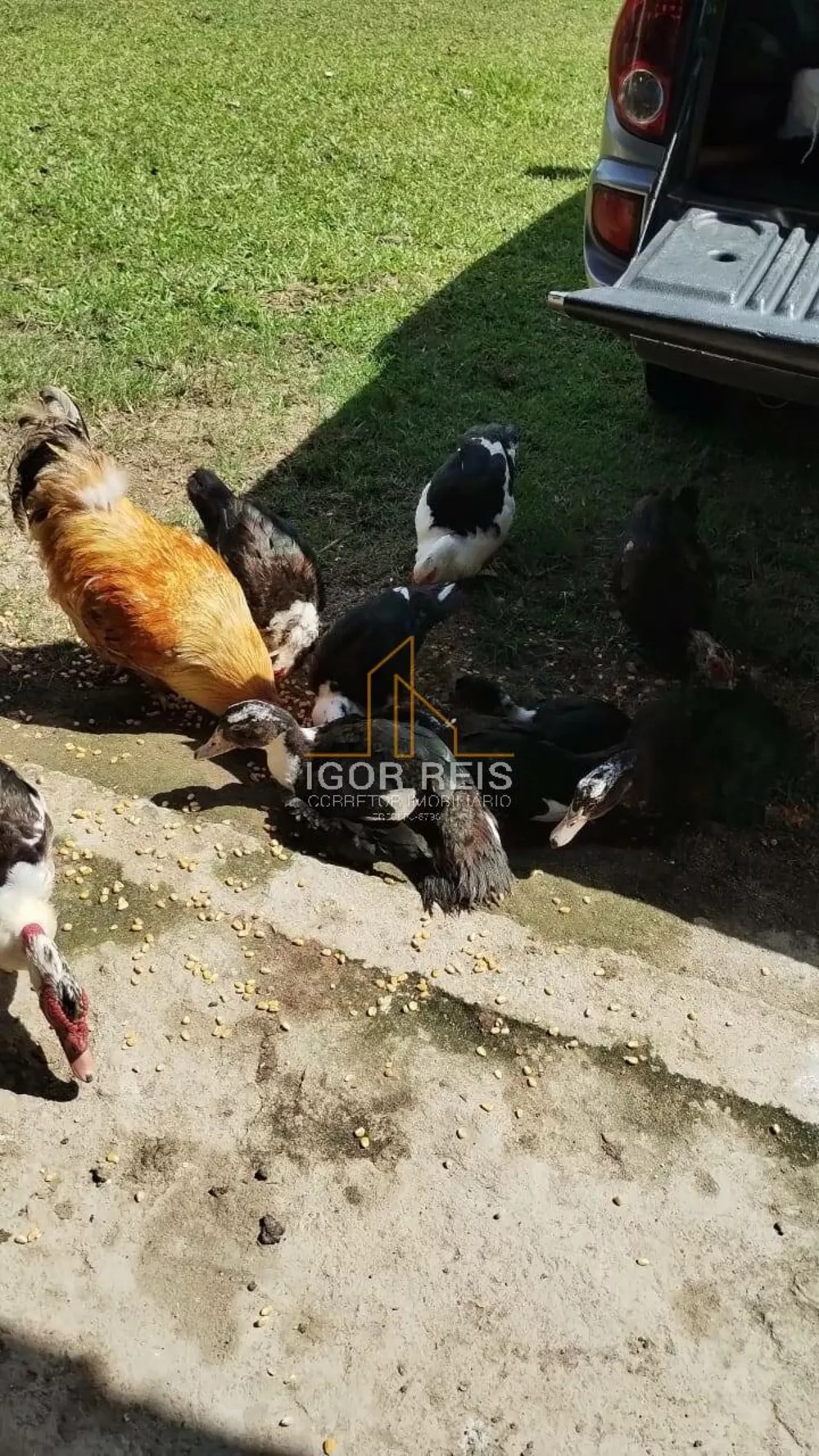 Terreno, 365 m² - Foto 8