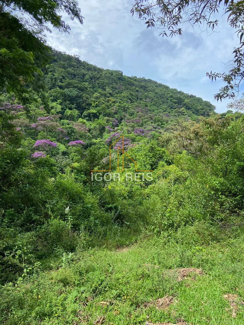Terreno, 365 m² - Foto 33