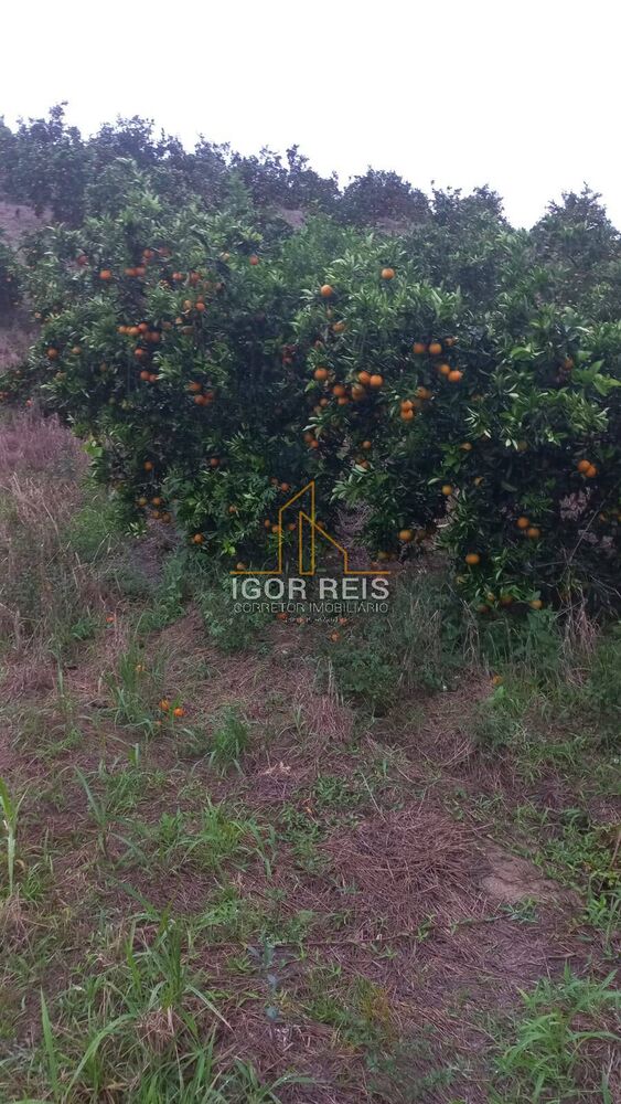 Terreno, 365 m² - Foto 3