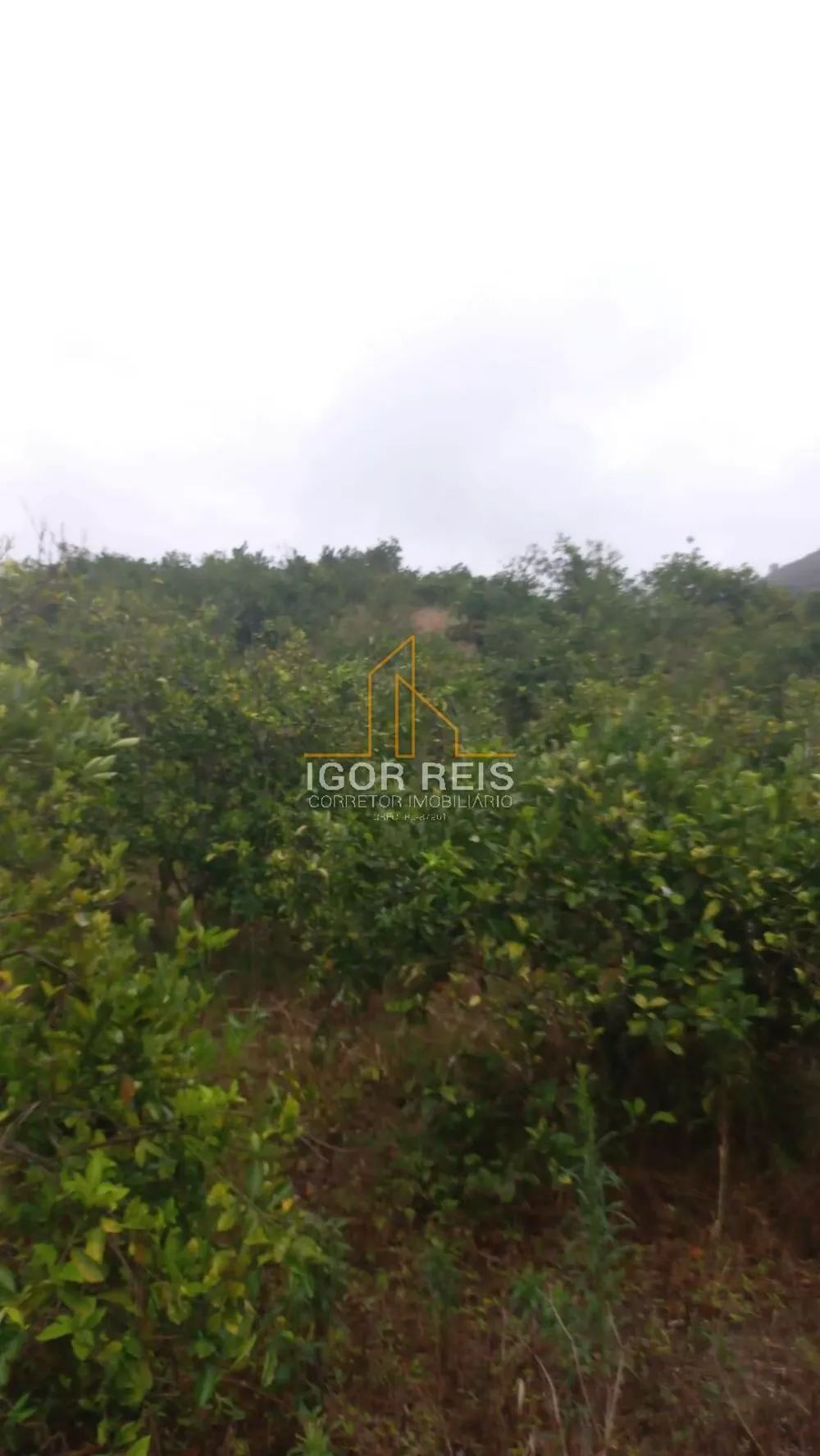 Terreno, 365 m² - Foto 18