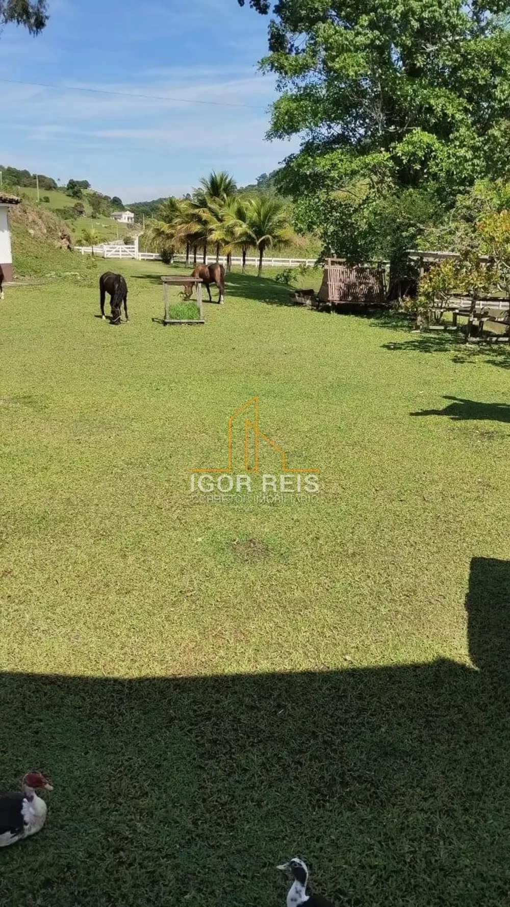 Terreno, 365 m² - Foto 9