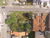 Terreno, 1050 m² - Foto 3