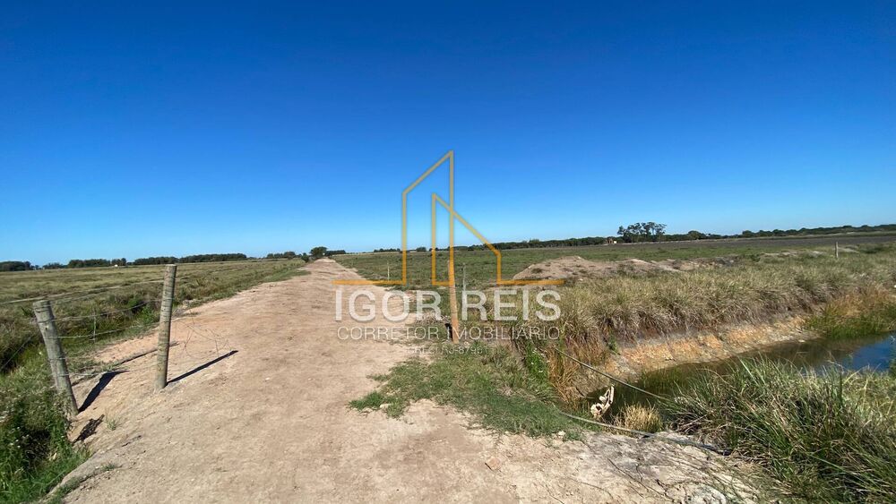 Terreno, 277 m² - Foto 4
