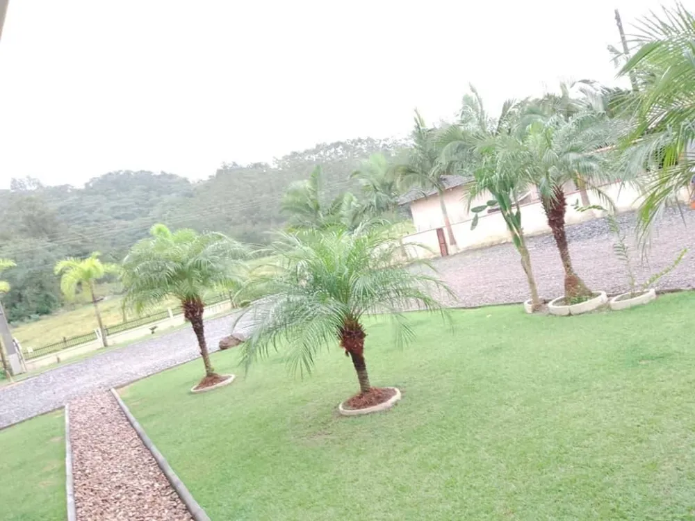 Casa, 4 quartos, 270 m² - Foto 6