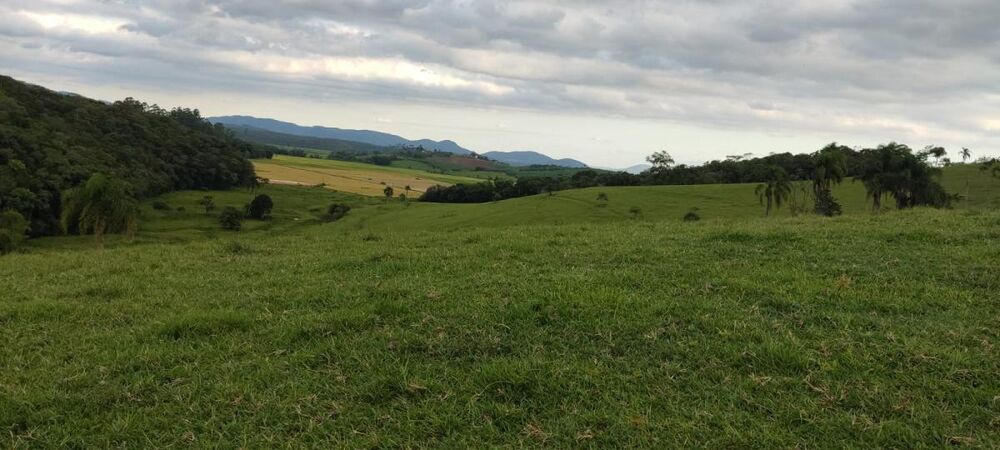 Terreno - Foto 4