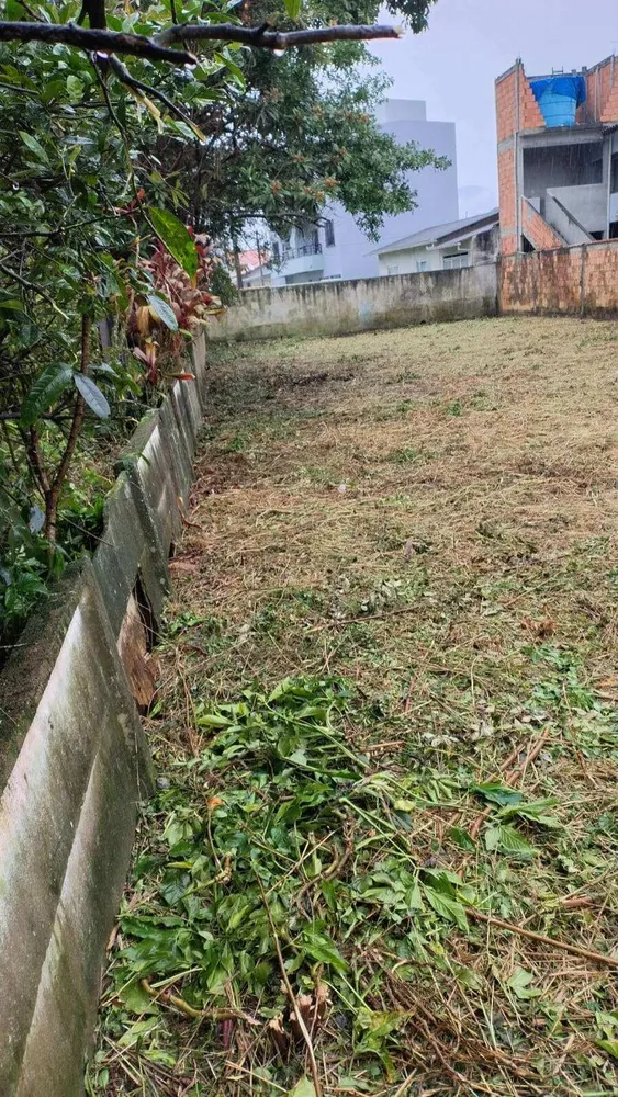 Terreno - Foto 3