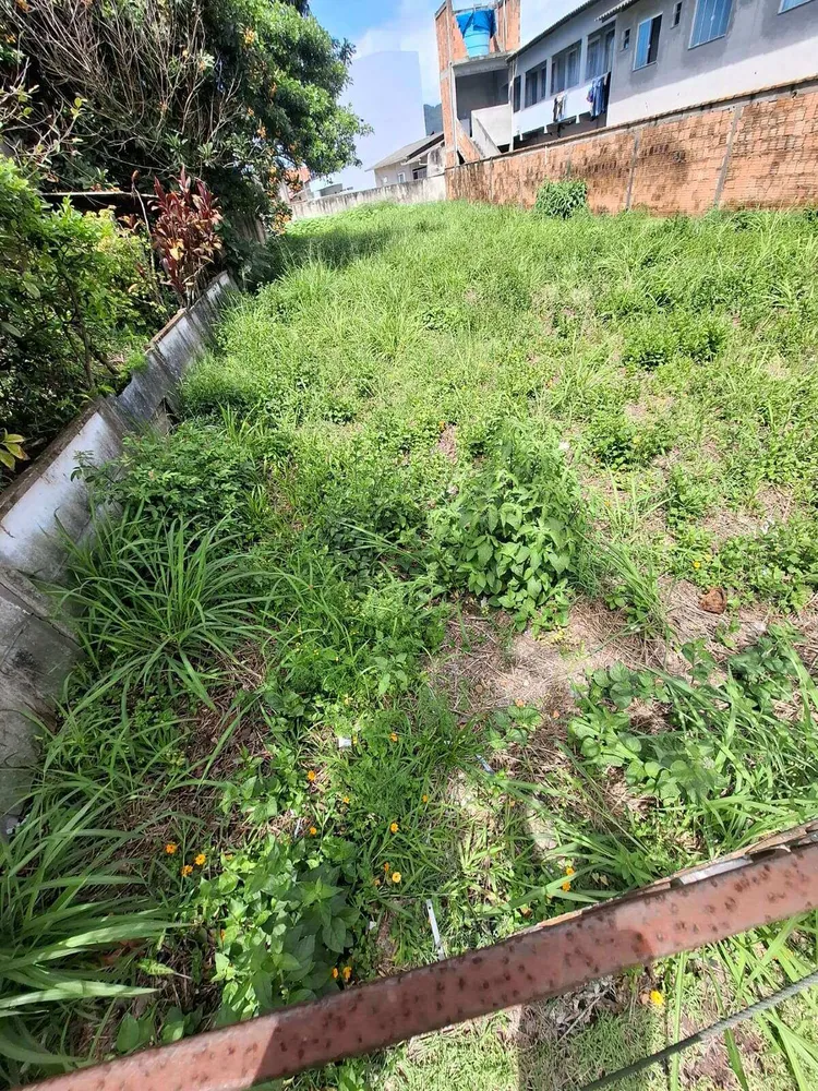 Terreno - Foto 4