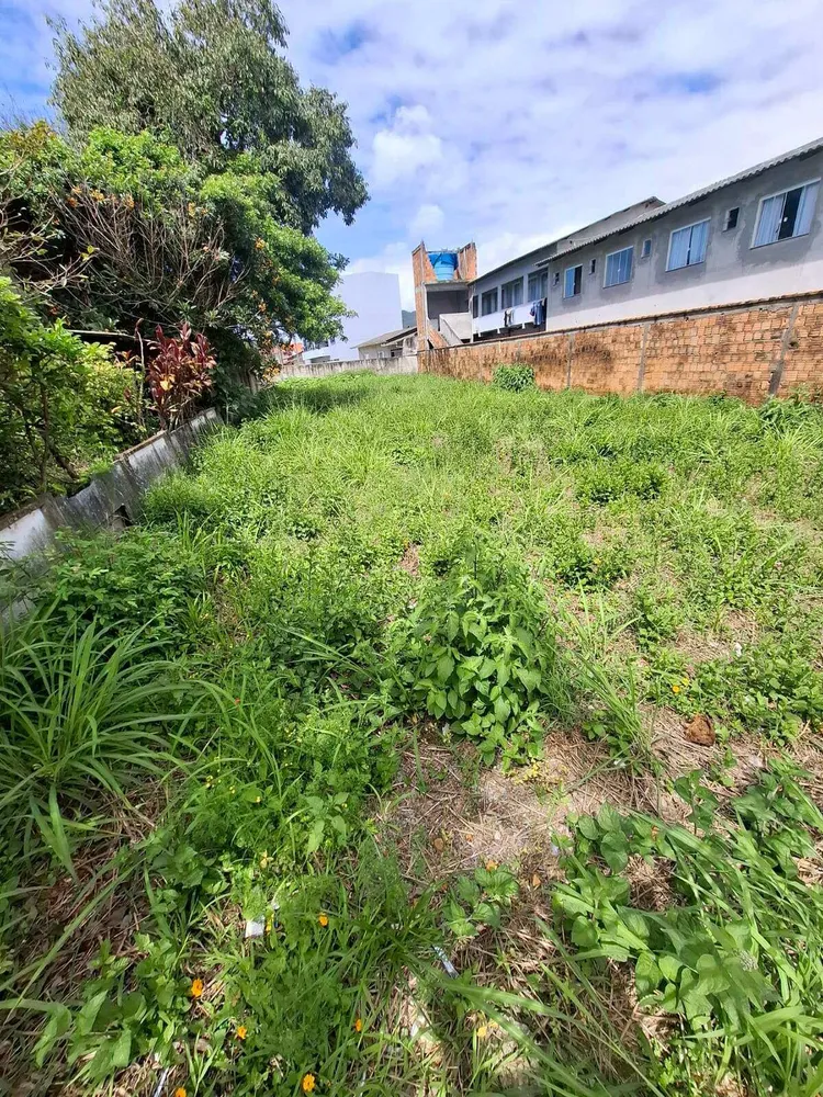 Terreno - Foto 2