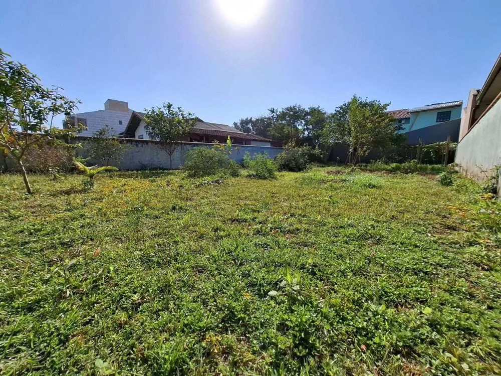 Terreno, 300 m² - Foto 3