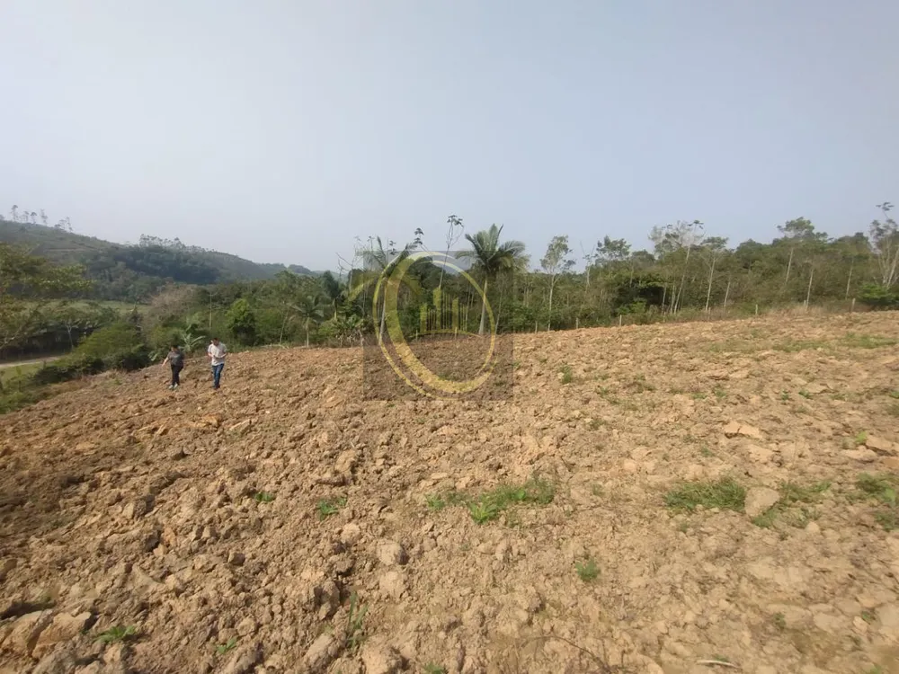 Terreno, 3 hectares - Foto 8