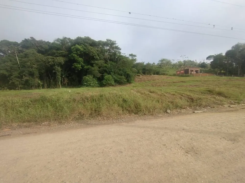 Terreno, 3 hectares - Foto 4