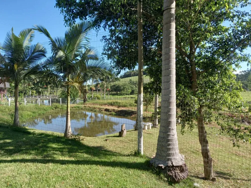 Chácara, 3 quartos - Foto 8