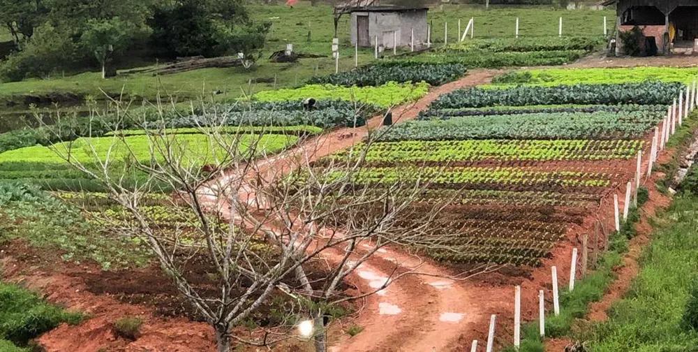 Chácara, 3 quartos - Foto 6