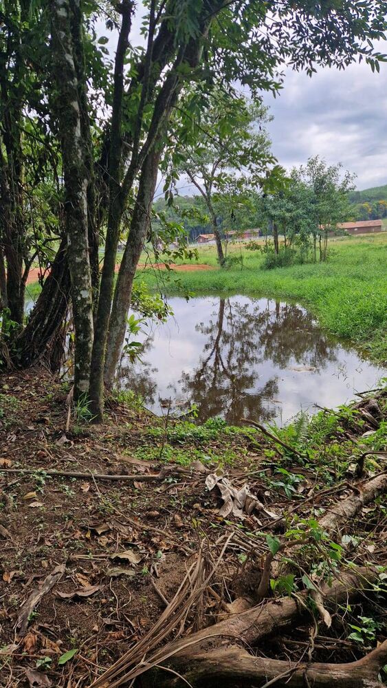 Terreno - Foto 3