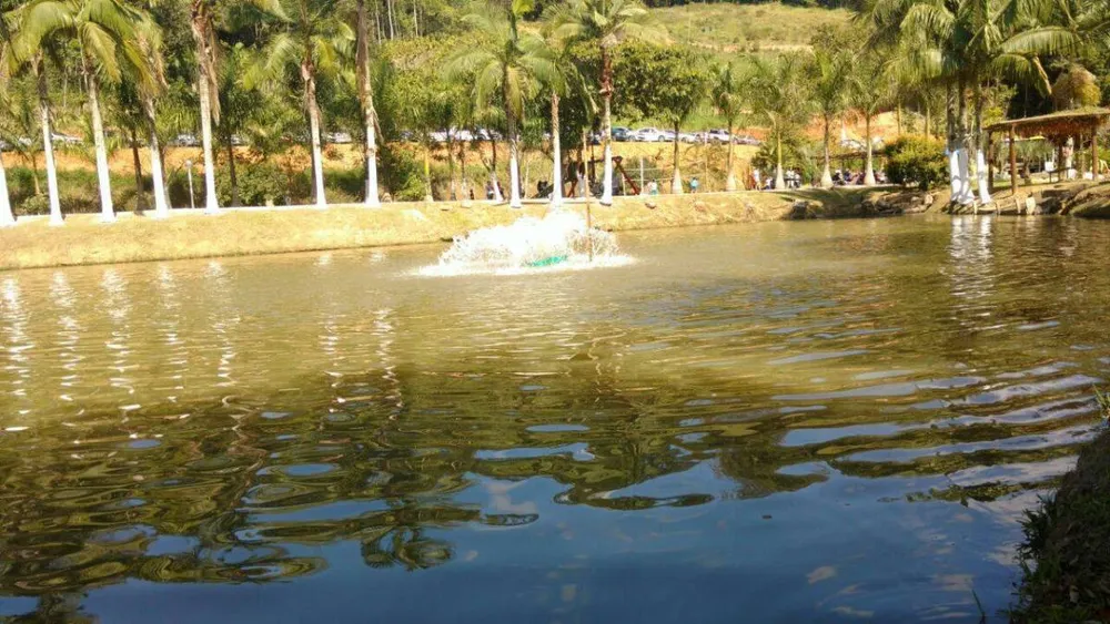 Sítio - Foto 9